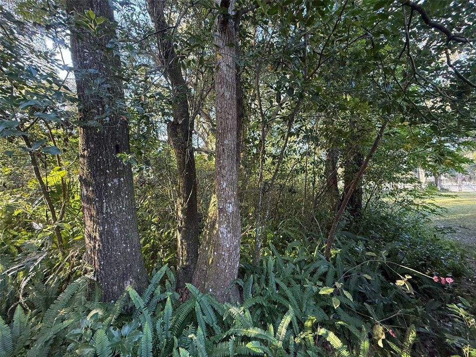 На продажу: $69,000 (0.33 acres)