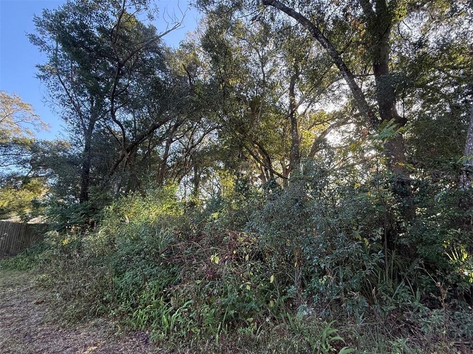 На продажу: $69,000 (0.33 acres)