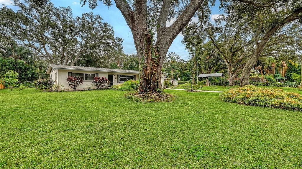 待售: $309,000 (3 贝兹, 1 浴室, 1250 平方英尺)