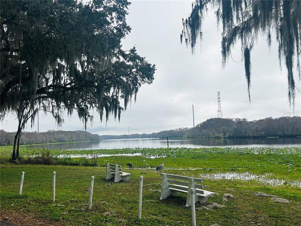 На продажу: $124,998 (2 спален, 2 ванн, 768 Квадратных фут)