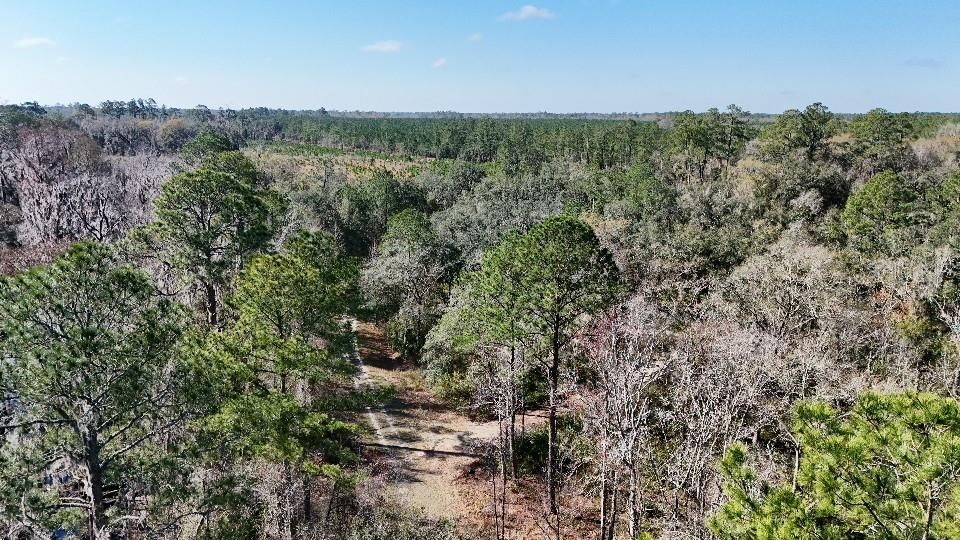 For Sale: $24,000 (2.10 acres)