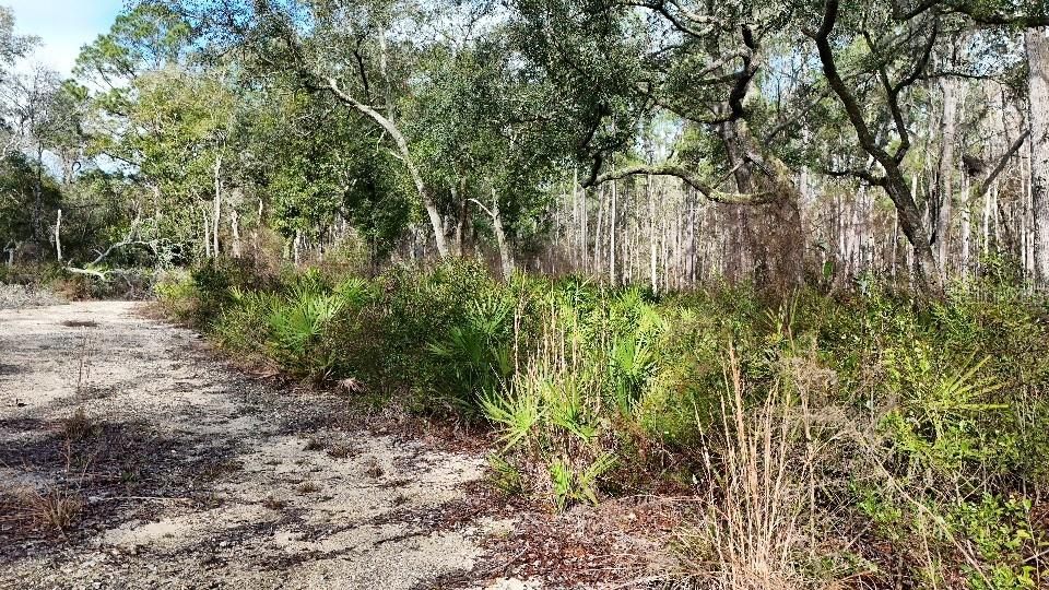 For Sale: $24,000 (2.10 acres)