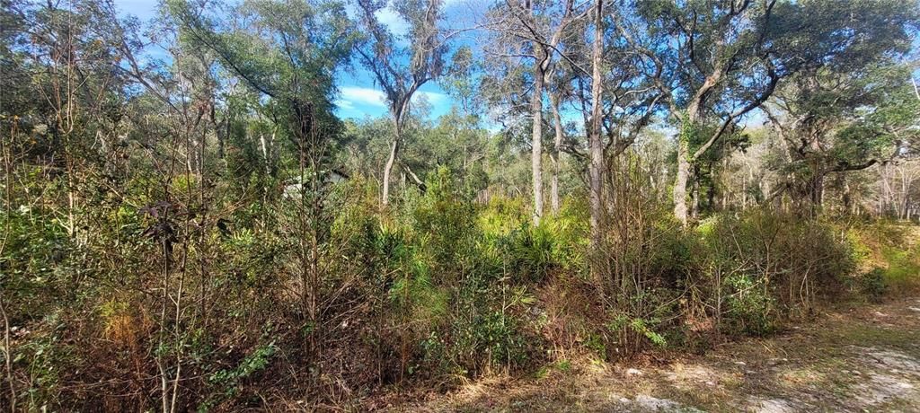 For Sale: $25,000 (2.10 acres)