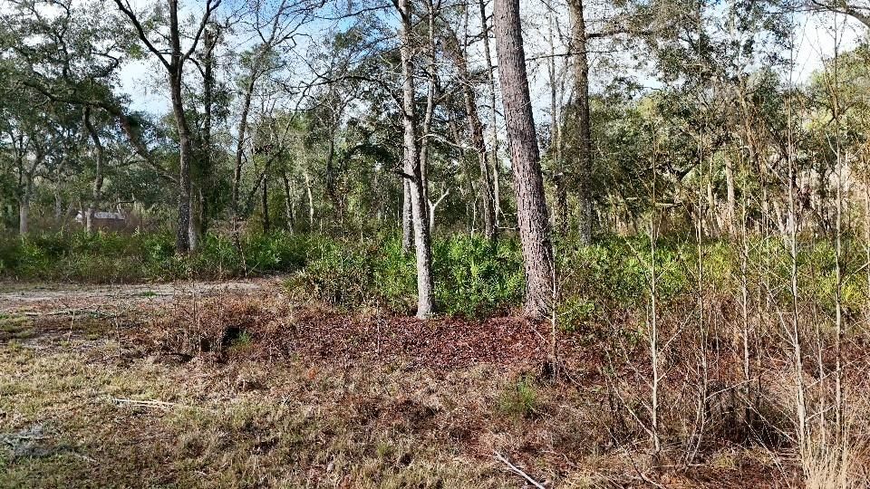 For Sale: $24,000 (2.10 acres)