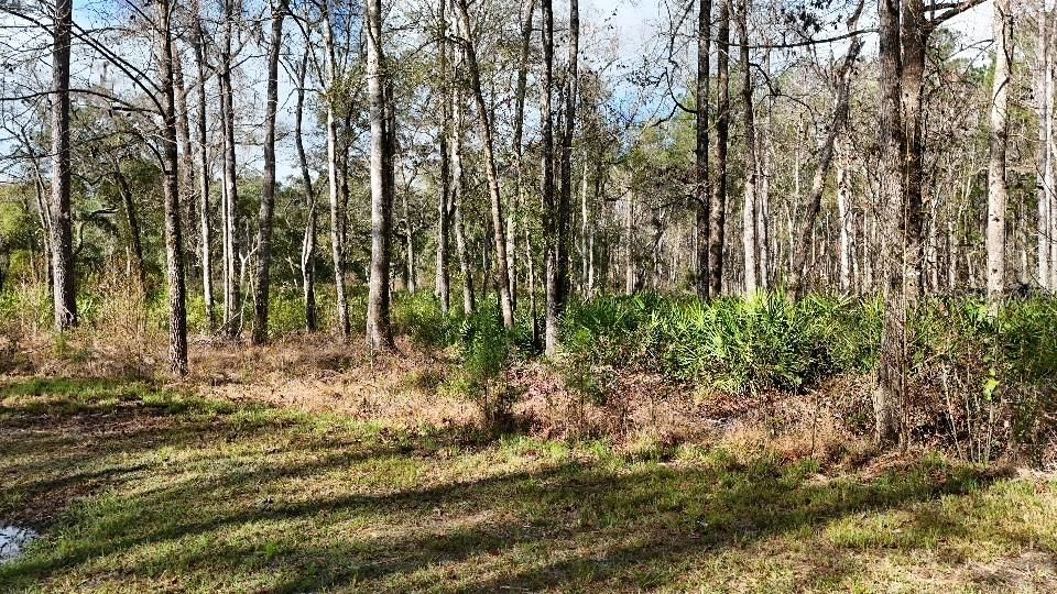 For Sale: $24,000 (2.10 acres)