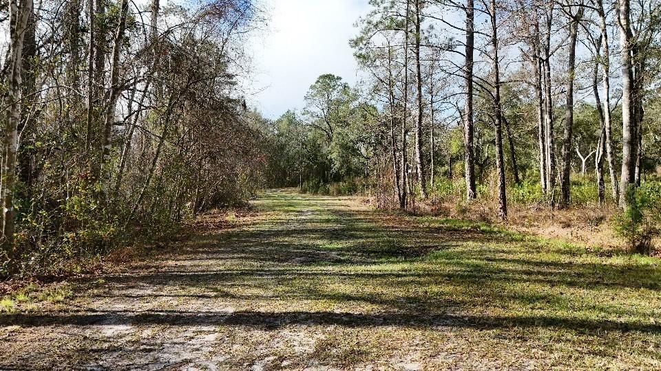 For Sale: $24,000 (2.10 acres)