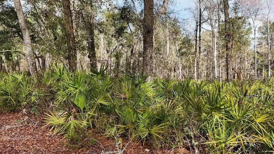 For Sale: $24,000 (2.10 acres)