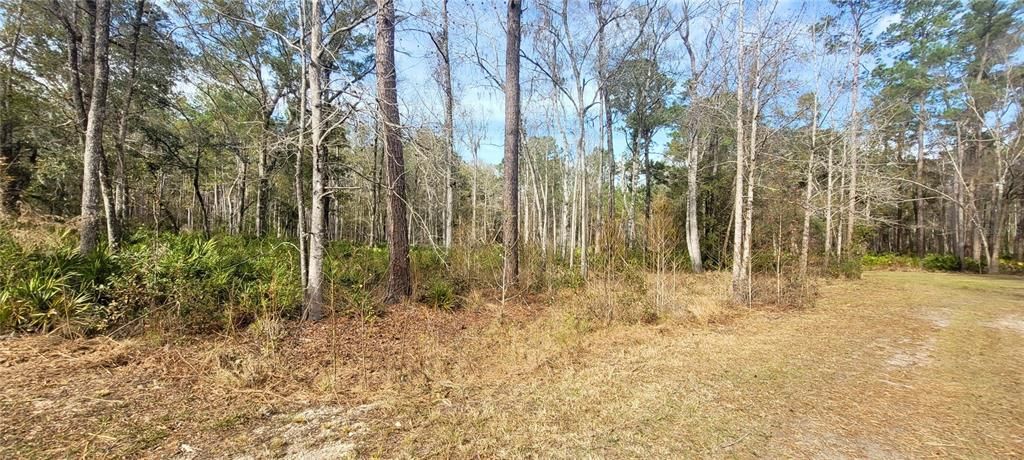 For Sale: $30,000 (2.50 acres)