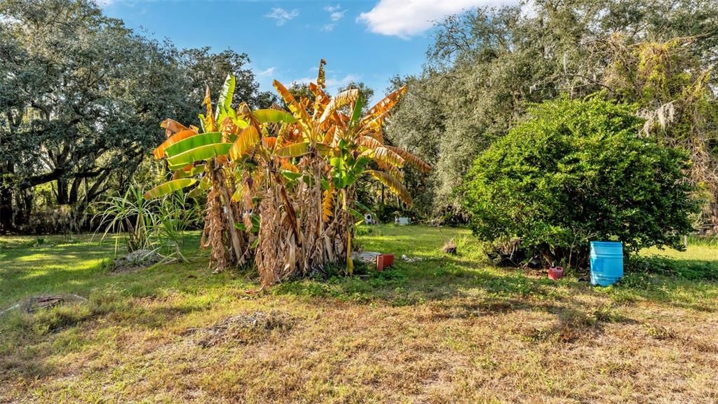 For Sale: $275,000 (0.60 acres)