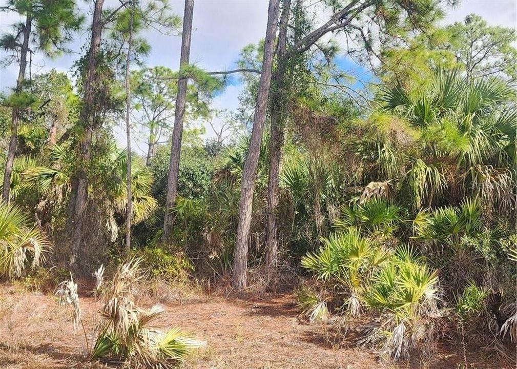 For Sale: $26,500 (0.23 acres)