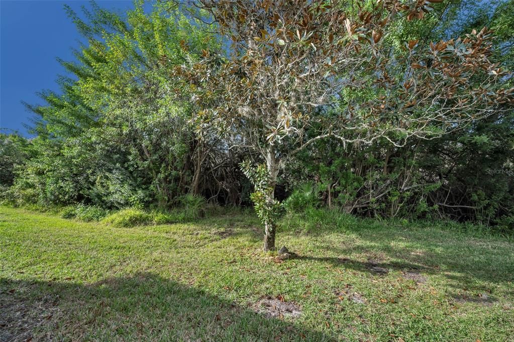 For Sale: $285,000 (2 beds, 2 baths, 1633 Square Feet)