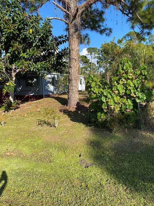 На продажу: $143,900 (3 спален, 1 ванн, 1212 Квадратных фут)