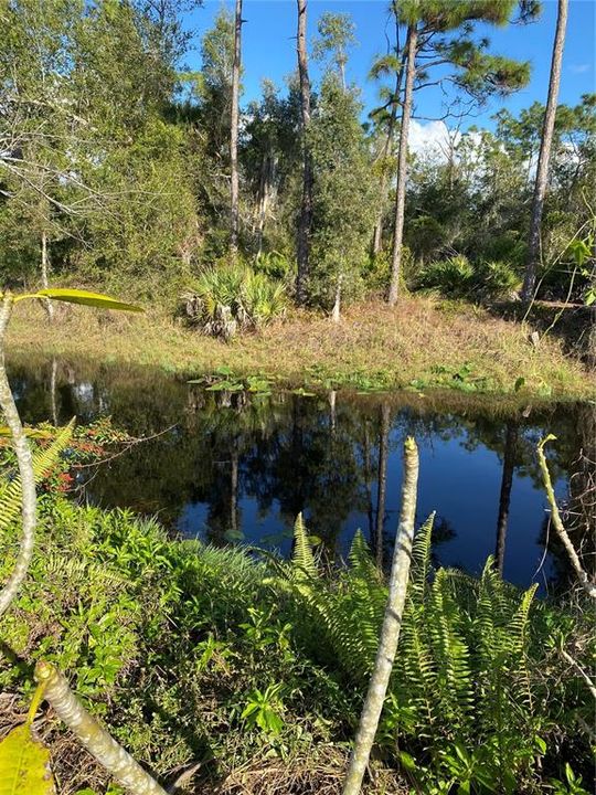 На продажу: $143,900 (3 спален, 1 ванн, 1212 Квадратных фут)