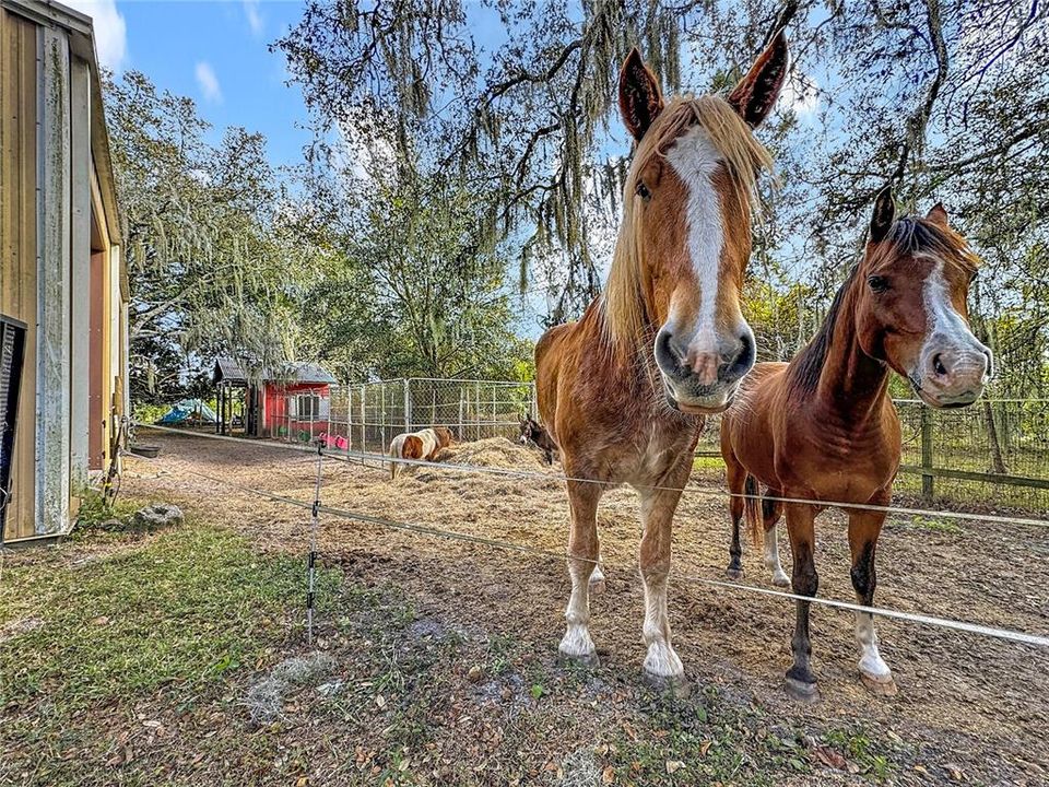 待售: $895,000 (4 贝兹, 3 浴室, 3462 平方英尺)