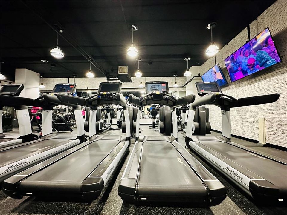 出租: $1,395 (0 贝兹, 1 浴室, 572 平方英尺)