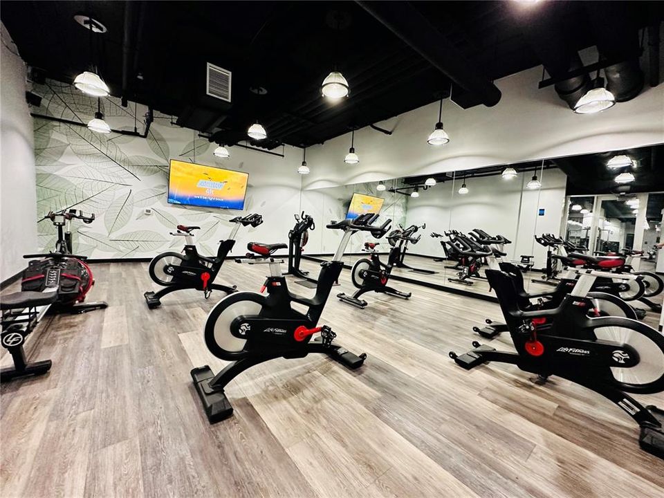 出租: $1,395 (0 贝兹, 1 浴室, 572 平方英尺)