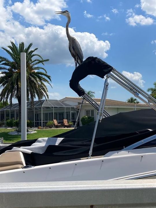 На продажу: $725,000 (3 спален, 2 ванн, 1748 Квадратных фут)