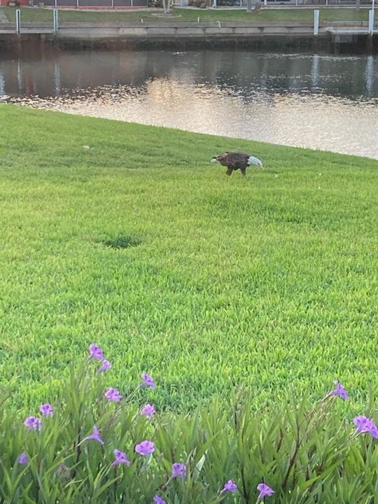 На продажу: $725,000 (3 спален, 2 ванн, 1748 Квадратных фут)