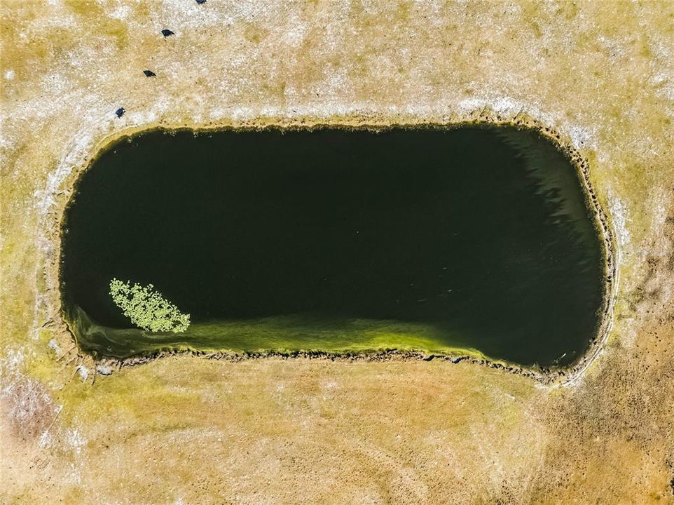 На продажу: $1,250,000 (61.38 acres)