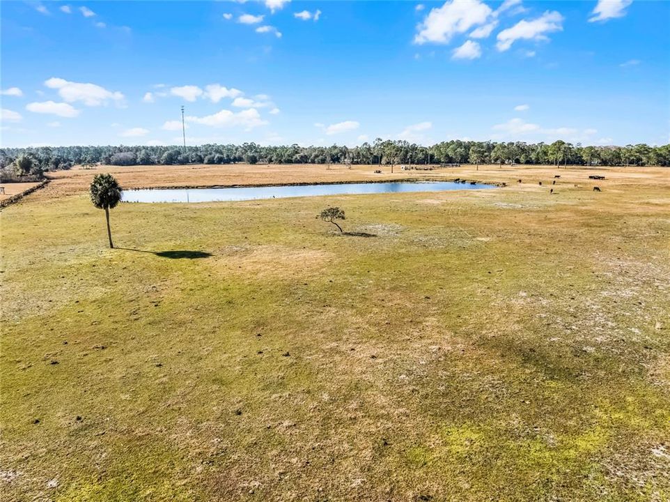 На продажу: $1,250,000 (61.38 acres)