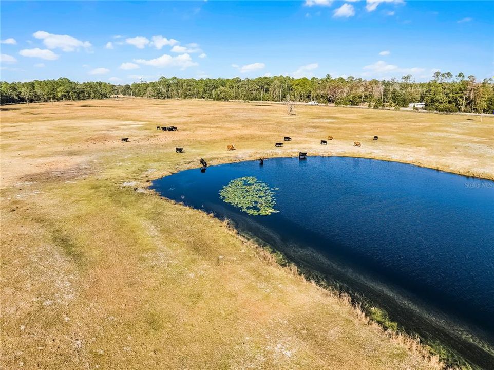 На продажу: $1,250,000 (61.38 acres)