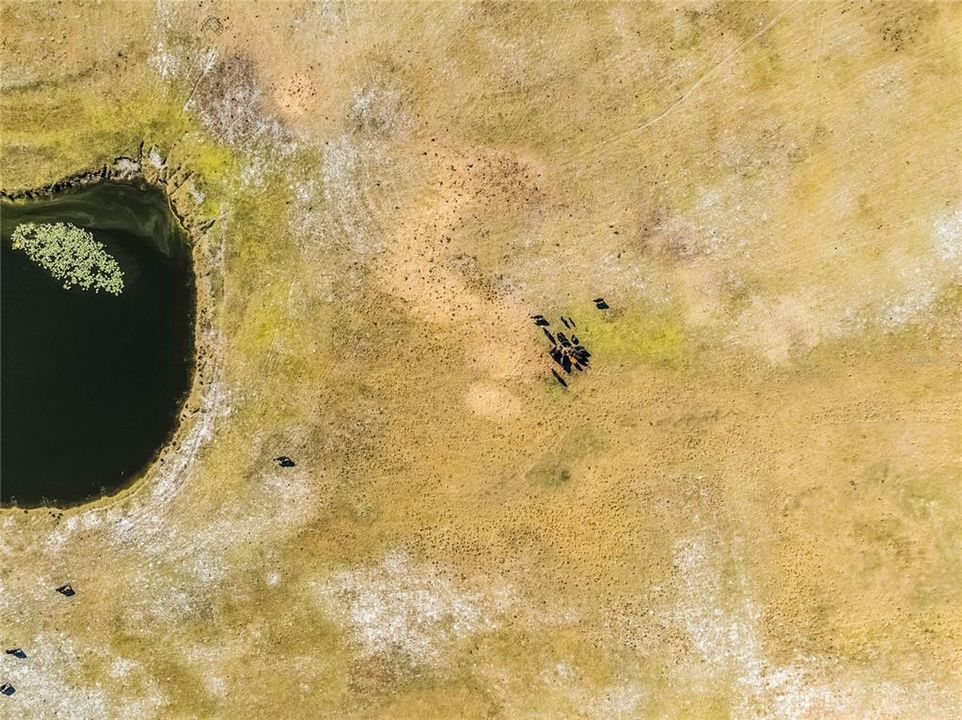 На продажу: $1,250,000 (61.38 acres)