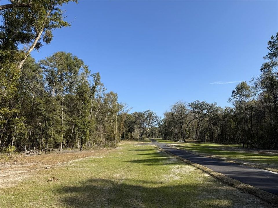 For Sale: $290,000 (10.00 acres)