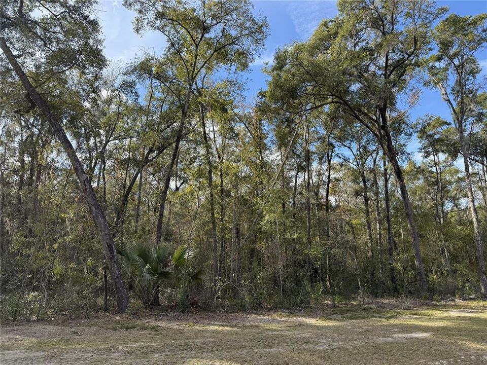 For Sale: $290,000 (10.00 acres)