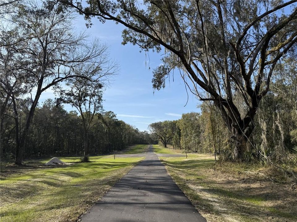 For Sale: $290,000 (10.00 acres)