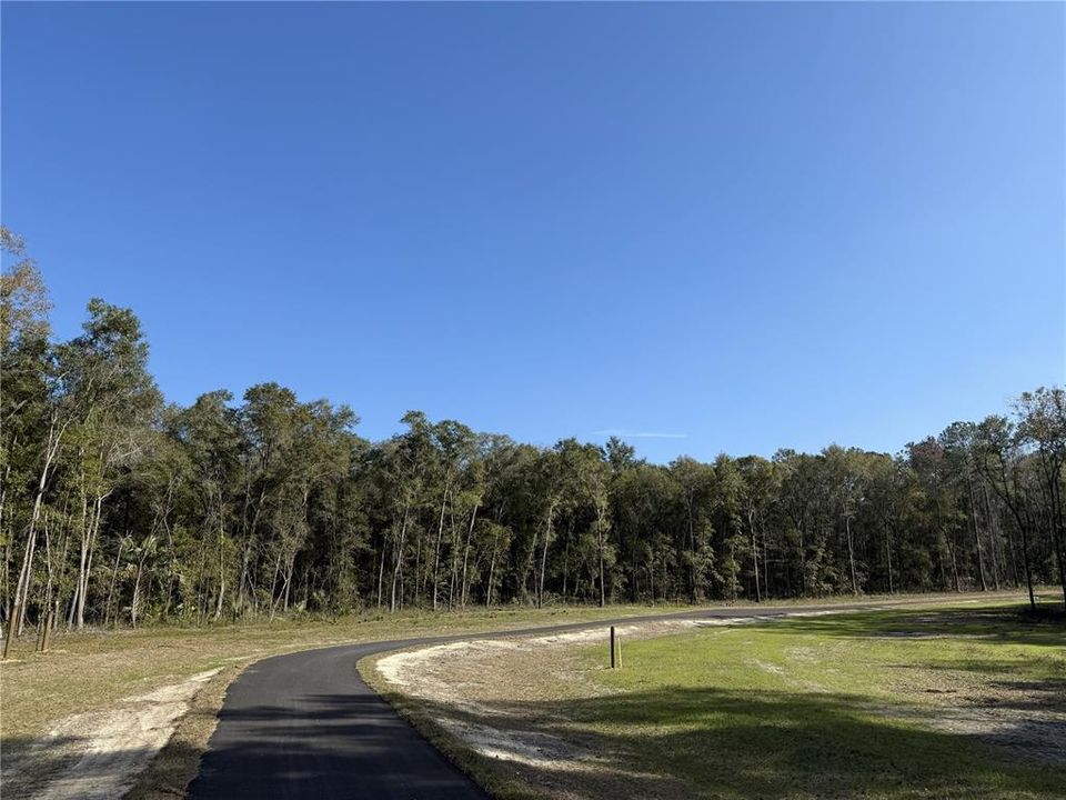 For Sale: $290,000 (10.00 acres)