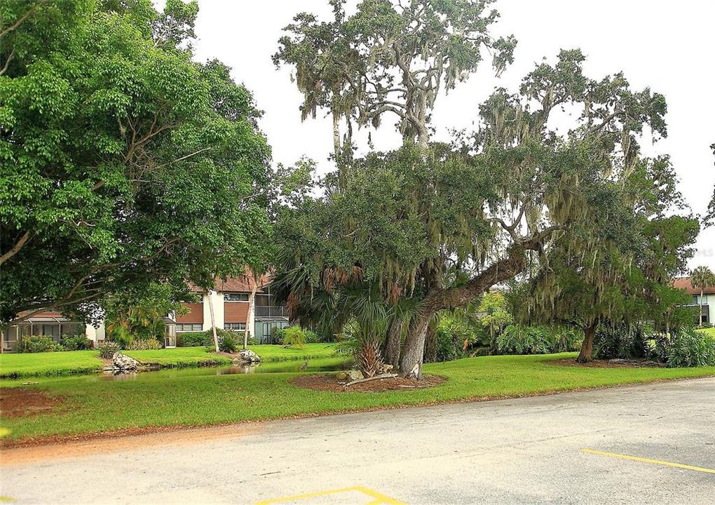 En Renta: $1,500 (2 camas, 2 baños, 1111 Pies cuadrados)