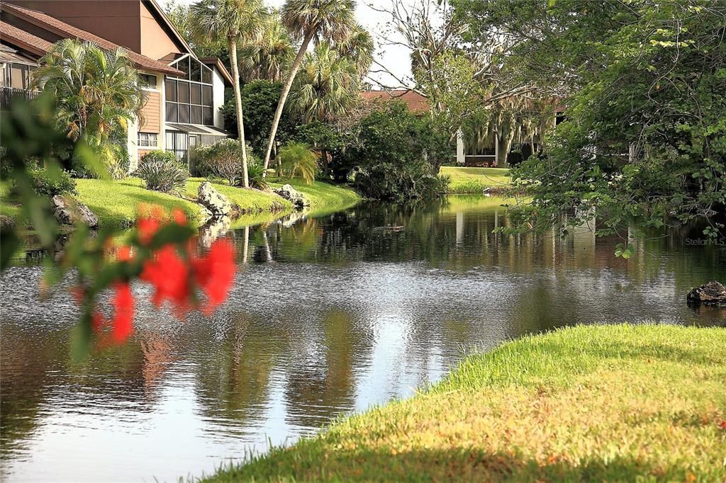 En Renta: $1,500 (2 camas, 2 baños, 1111 Pies cuadrados)