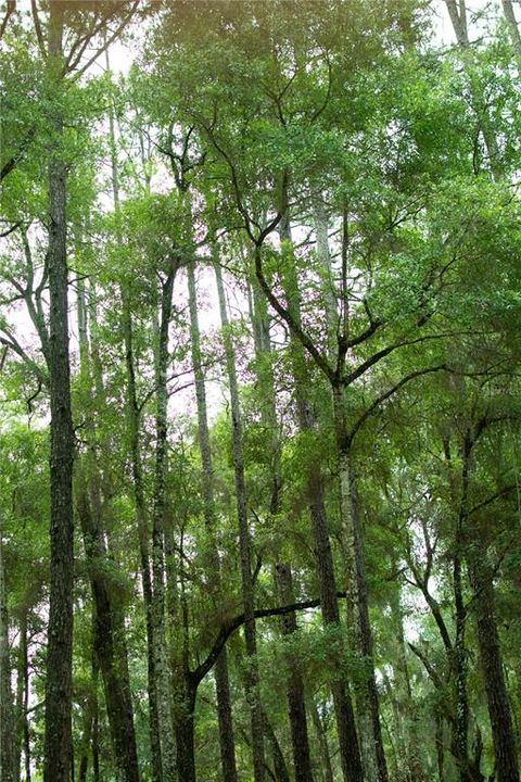 For Sale: $399,900 (4.72 acres)