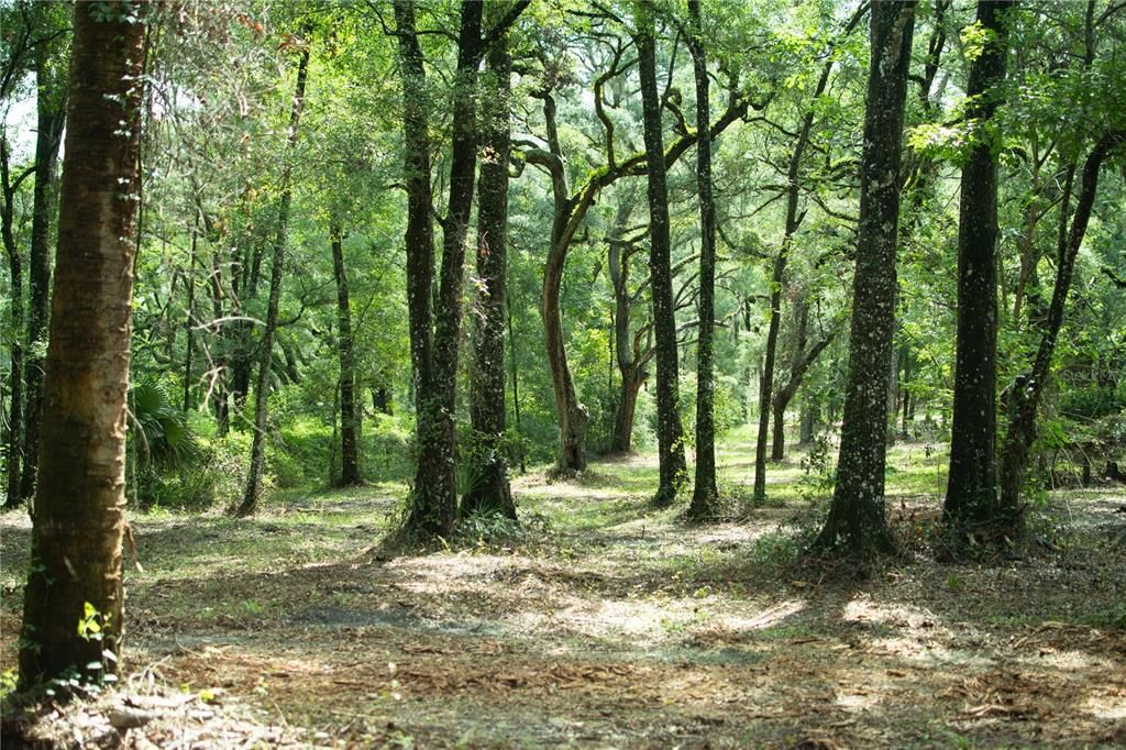 For Sale: $399,900 (4.72 acres)