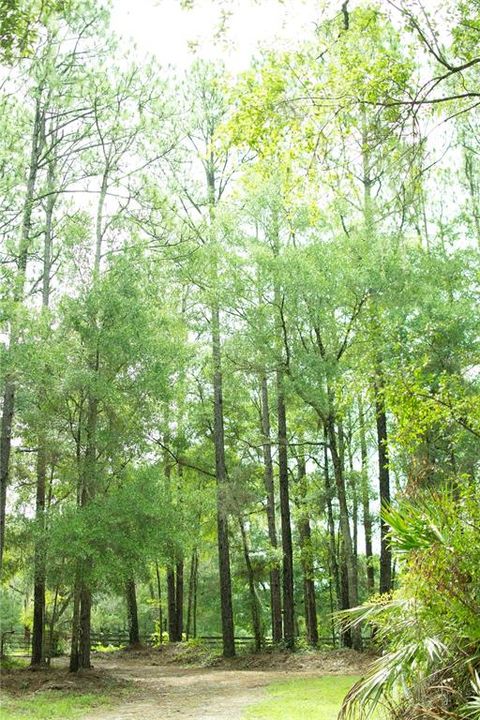 For Sale: $399,900 (4.72 acres)