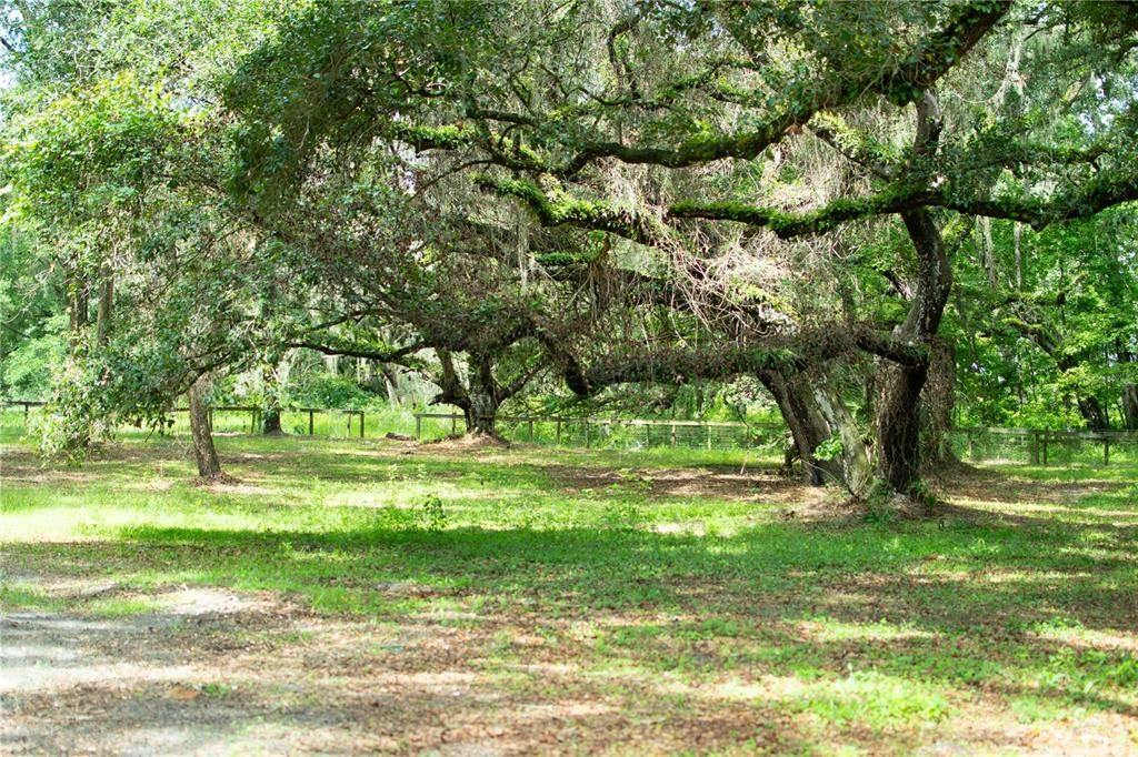 For Sale: $399,900 (4.72 acres)