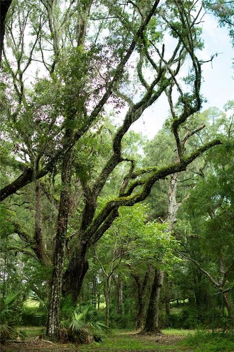 For Sale: $399,900 (4.72 acres)