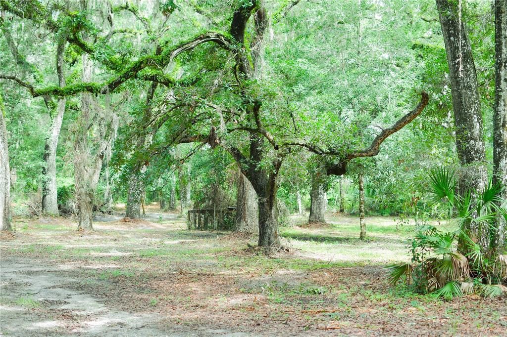 For Sale: $399,900 (4.72 acres)