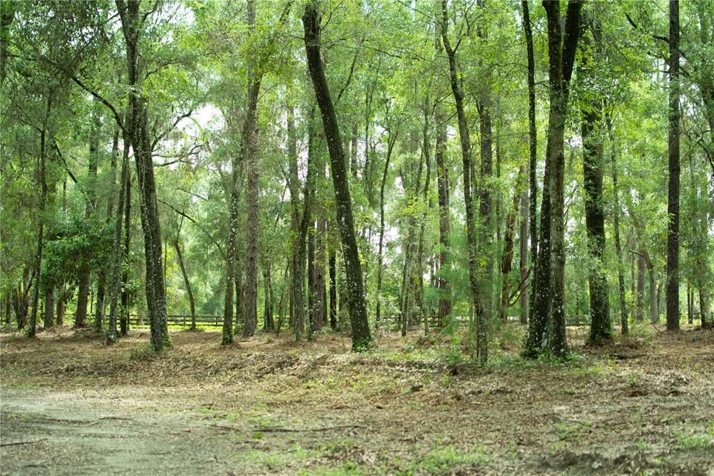 For Sale: $399,900 (4.72 acres)