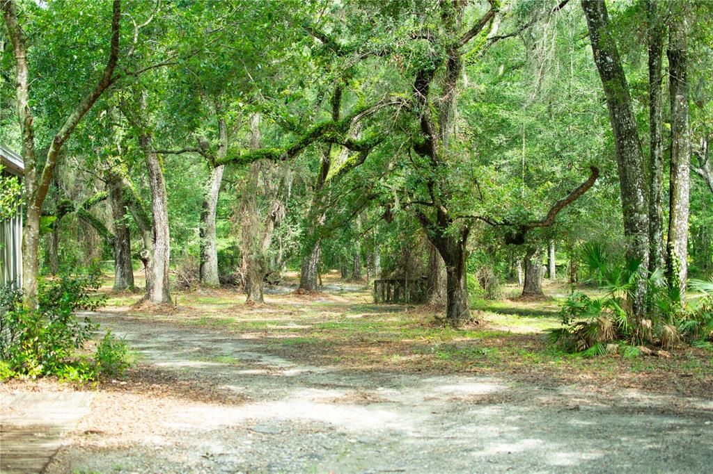 For Sale: $399,900 (4.72 acres)