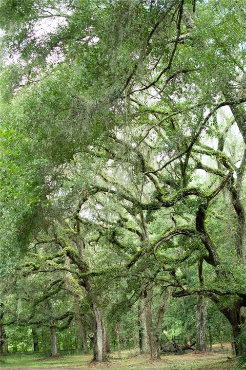 For Sale: $399,900 (4.72 acres)