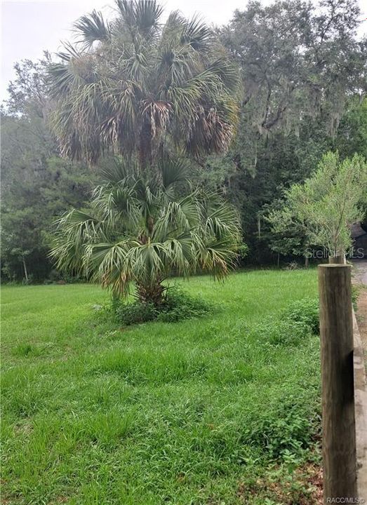 待售: $139,000 (3.00 acres)