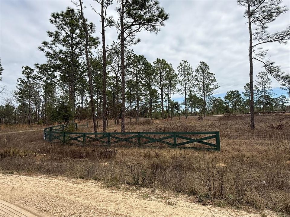 For Sale: $107,500 (1.31 acres)