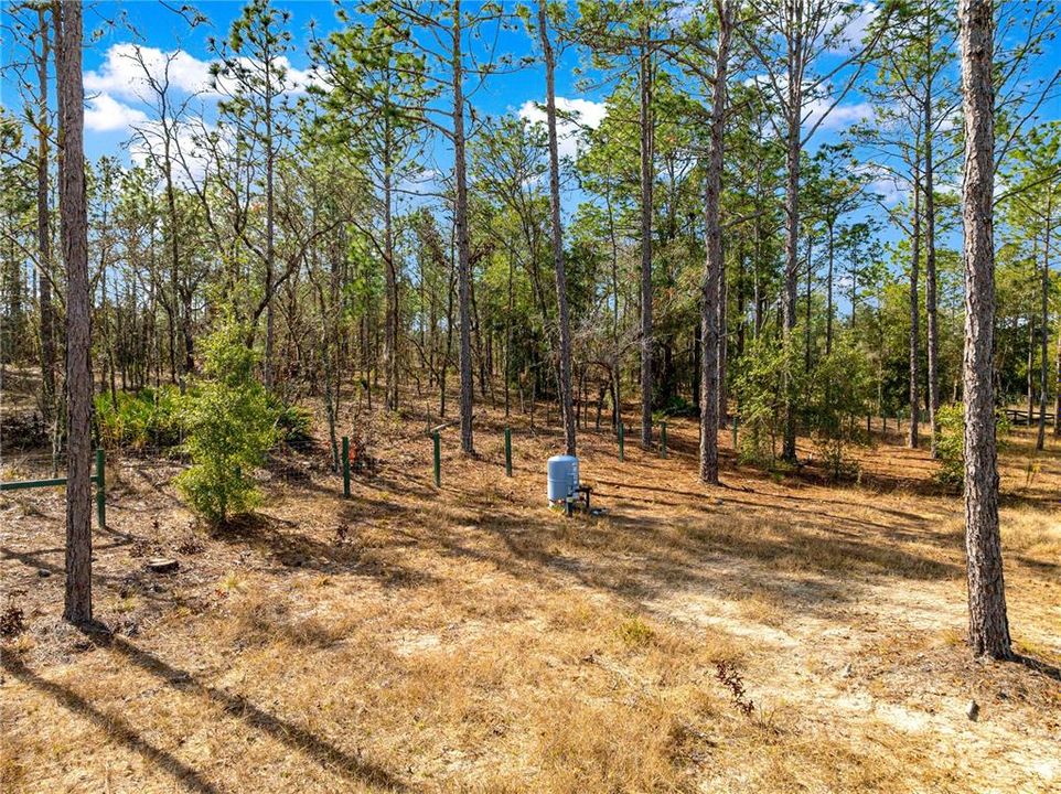 На продажу: $125,000 (1.31 acres)