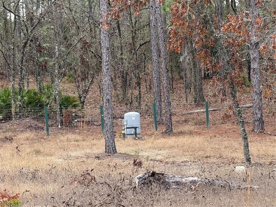 На продажу: $125,000 (1.31 acres)