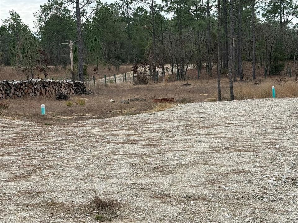 На продажу: $125,000 (1.31 acres)