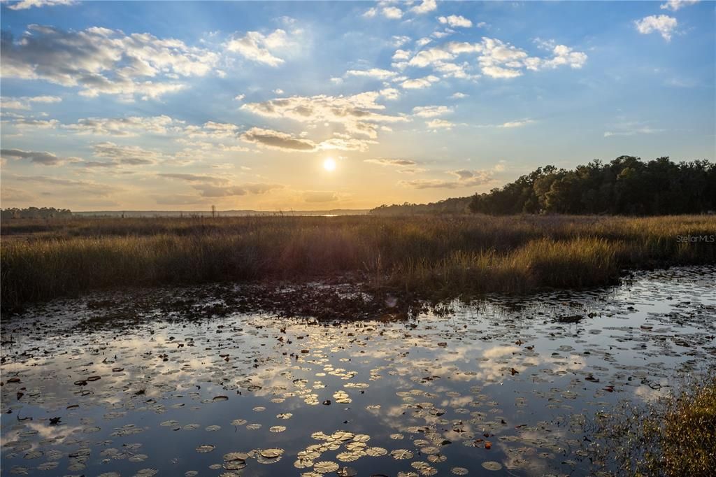 На продажу: $225,000 (2 спален, 1 ванн, 896 Квадратных фут)