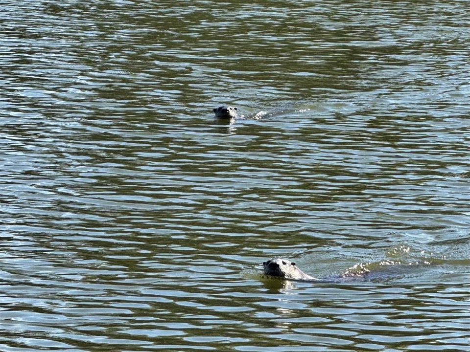 En Venta: $339,000 (3 camas, 2 baños, 1421 Pies cuadrados)