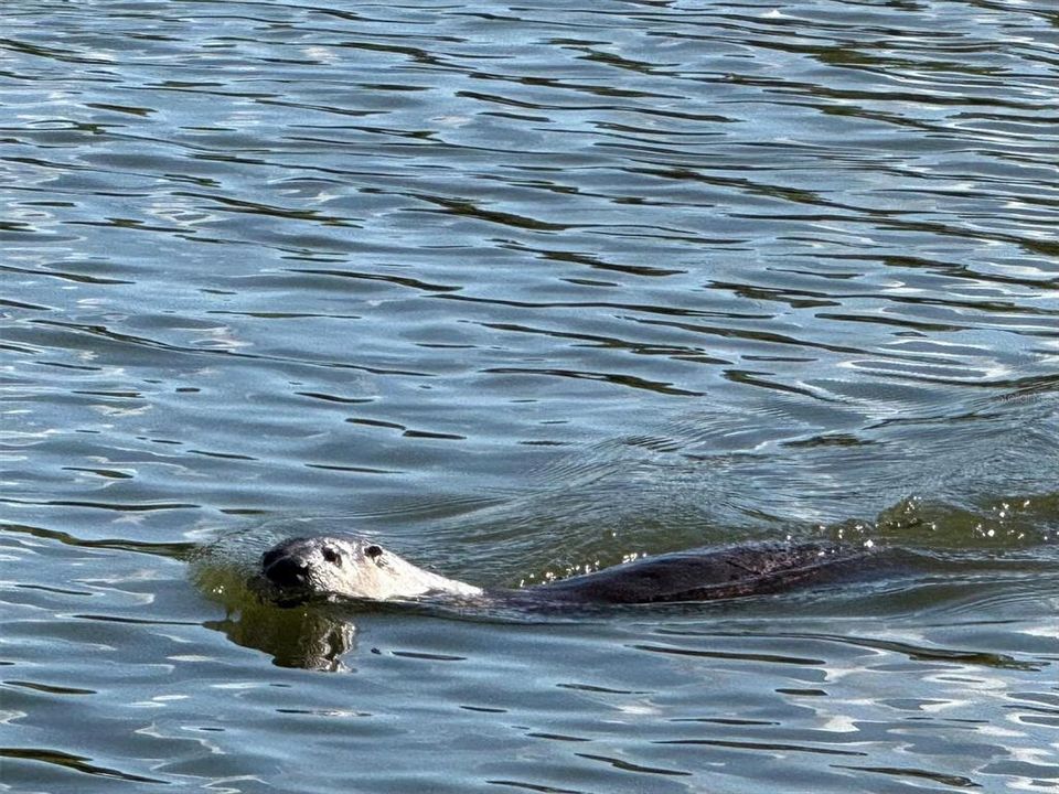 En Venta: $339,000 (3 camas, 2 baños, 1421 Pies cuadrados)