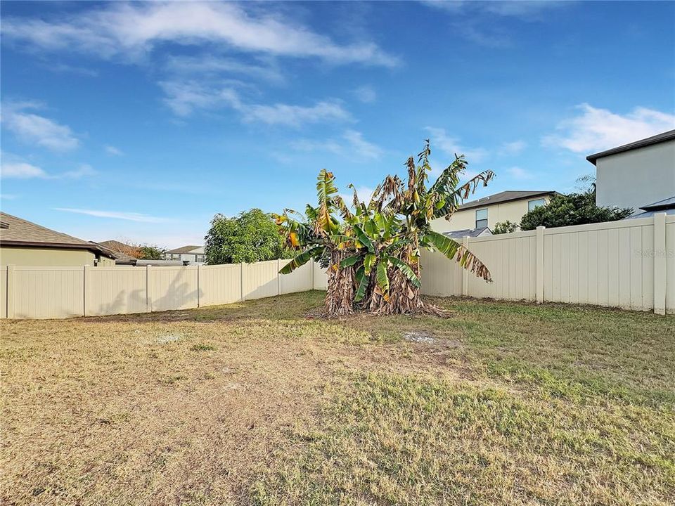 For Sale: $320,000 (3 beds, 2 baths, 1555 Square Feet)